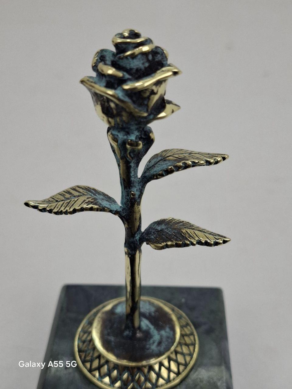 ვარდი, ხედი 1
