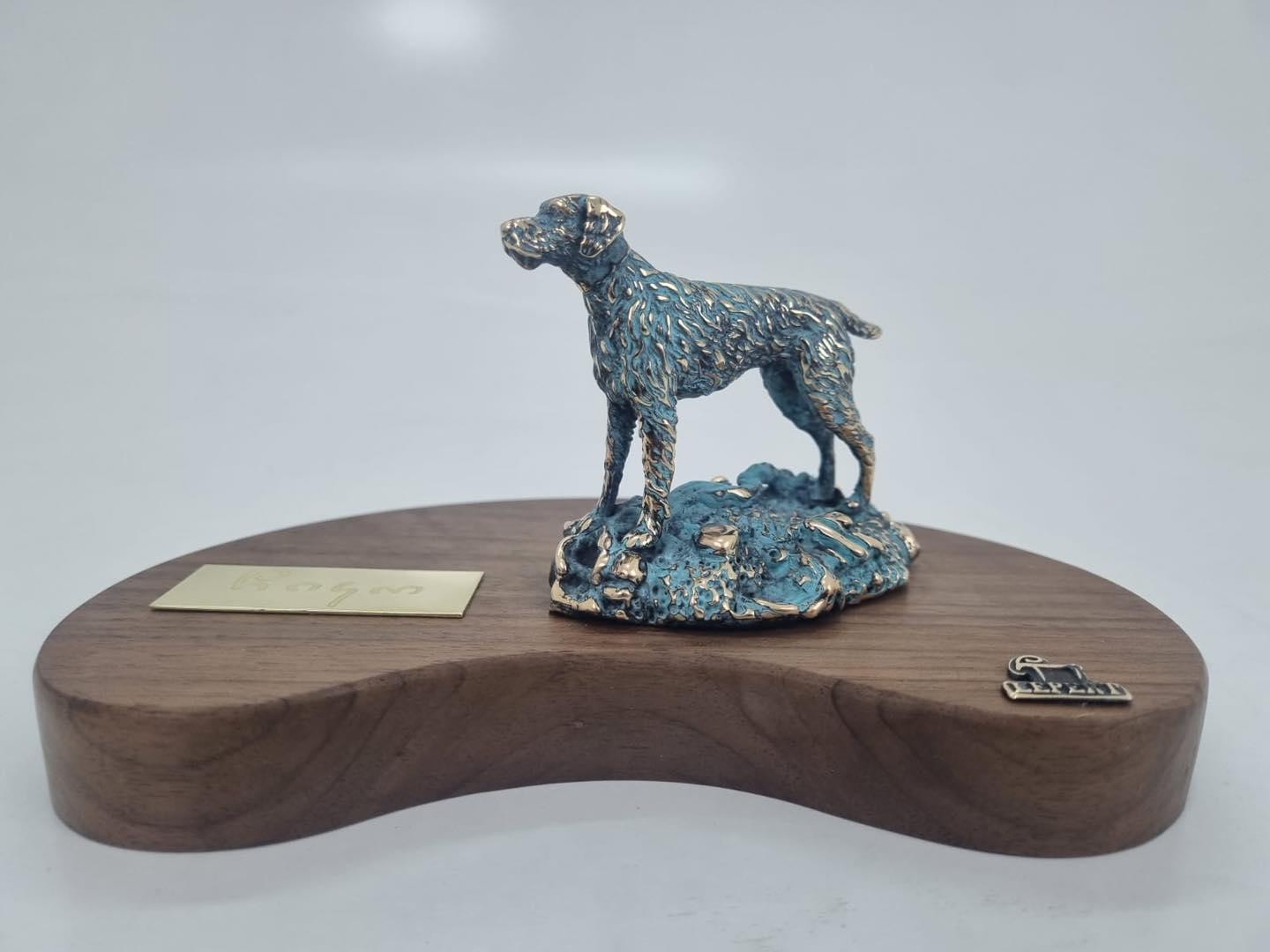 ძაღლი, ხედი 2