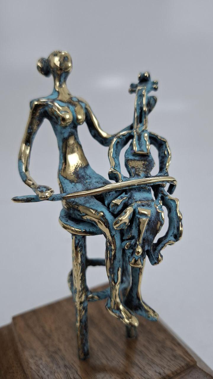 ჩელისტი, ხედი 1